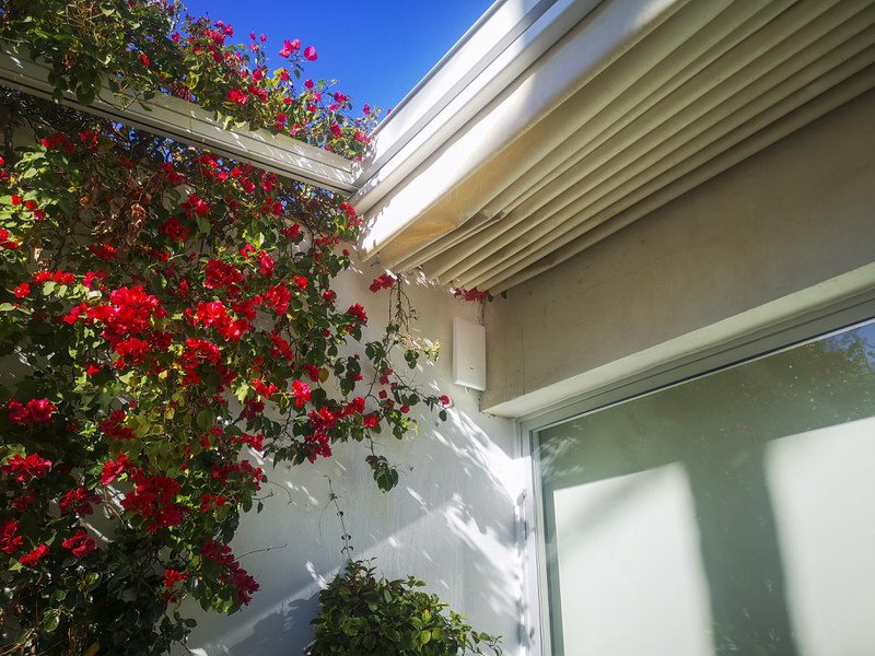 Access Point de Exterior, perfectamente integrado en el entorno.